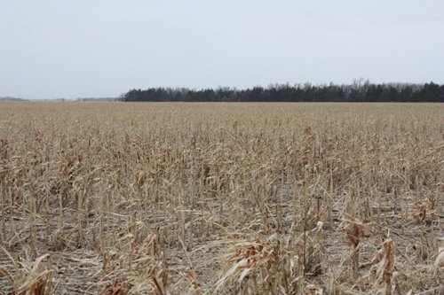 Property photo 39 - Kansas Land Auction - 960 Acres - 7 Farms in 3 Counties